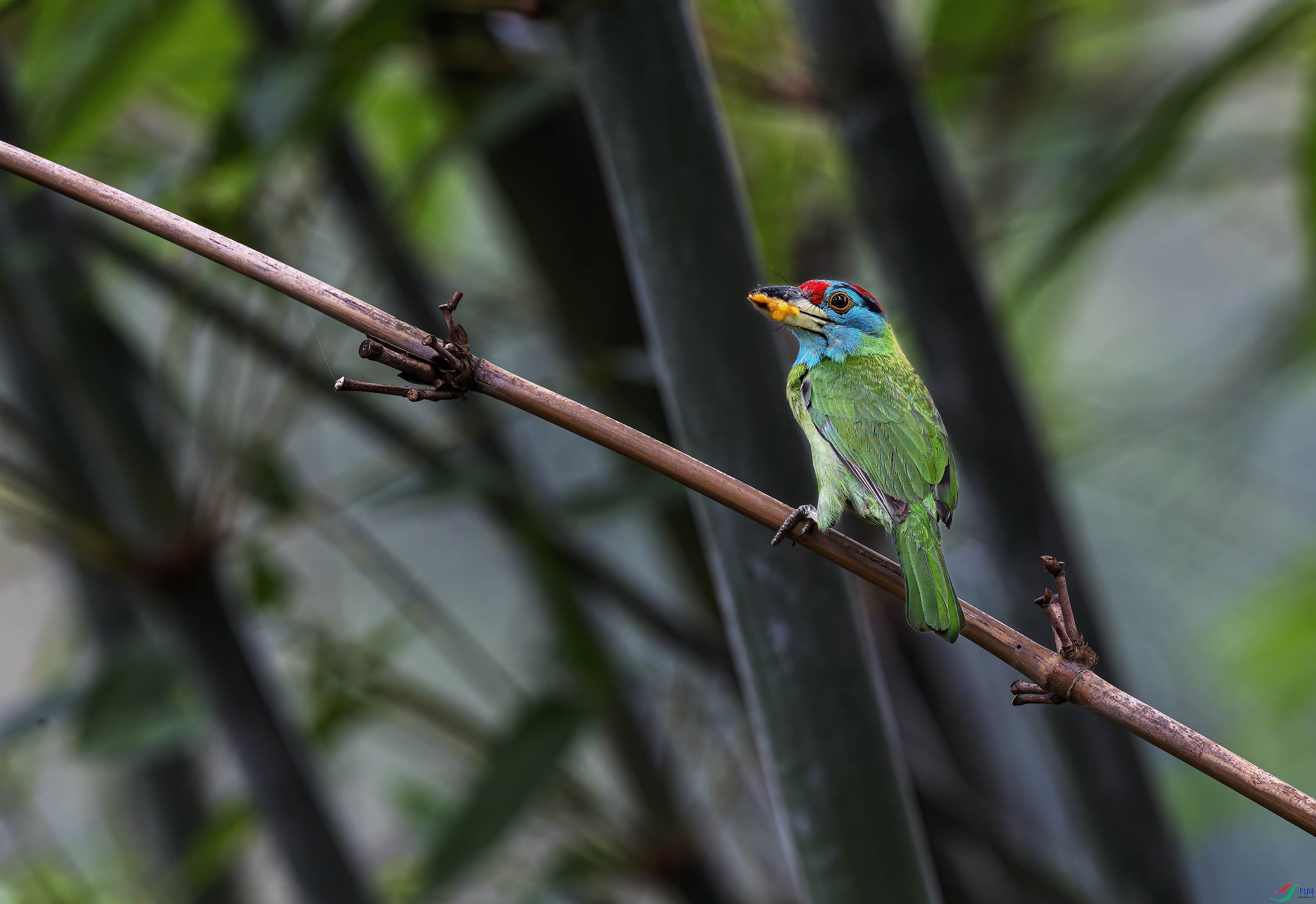 DSC_0423.jpg