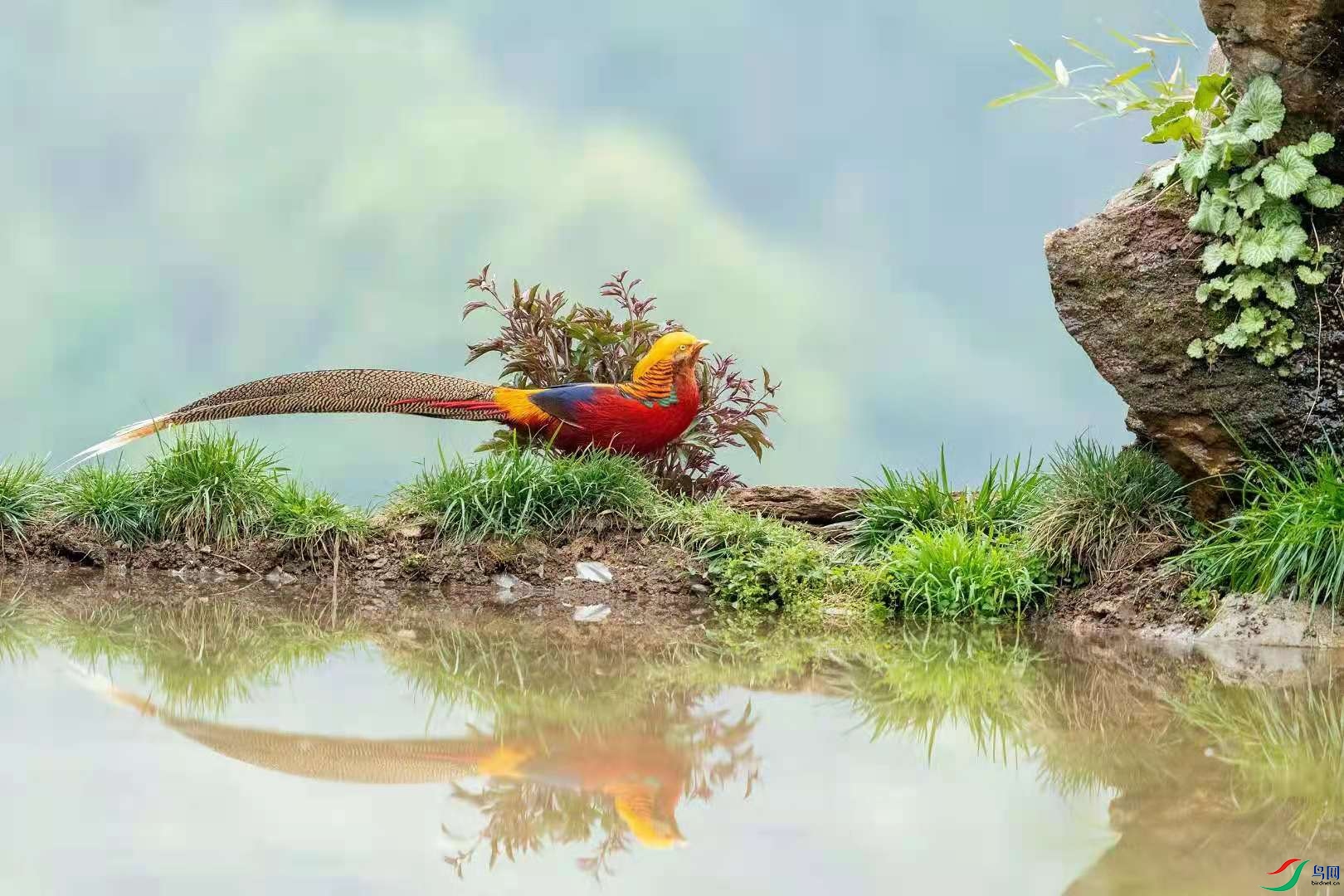 ΢��ͼƬ_20210419121108.jpg