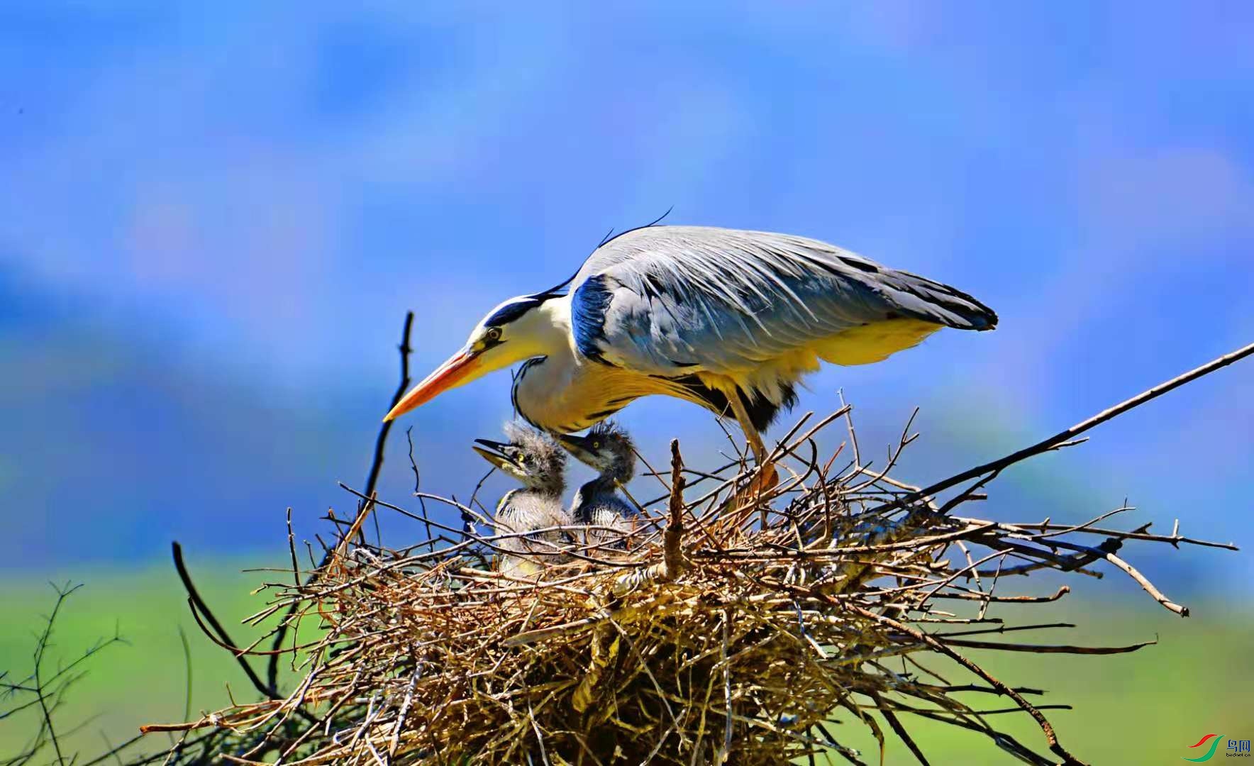 af5d06d81281594799f8fc287cc8d8e.jpg