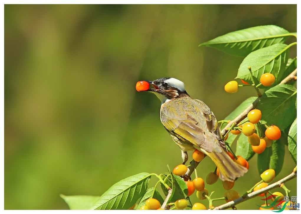 ������  ��ʦ������ɽ��ʡΫ���в�����.jpg