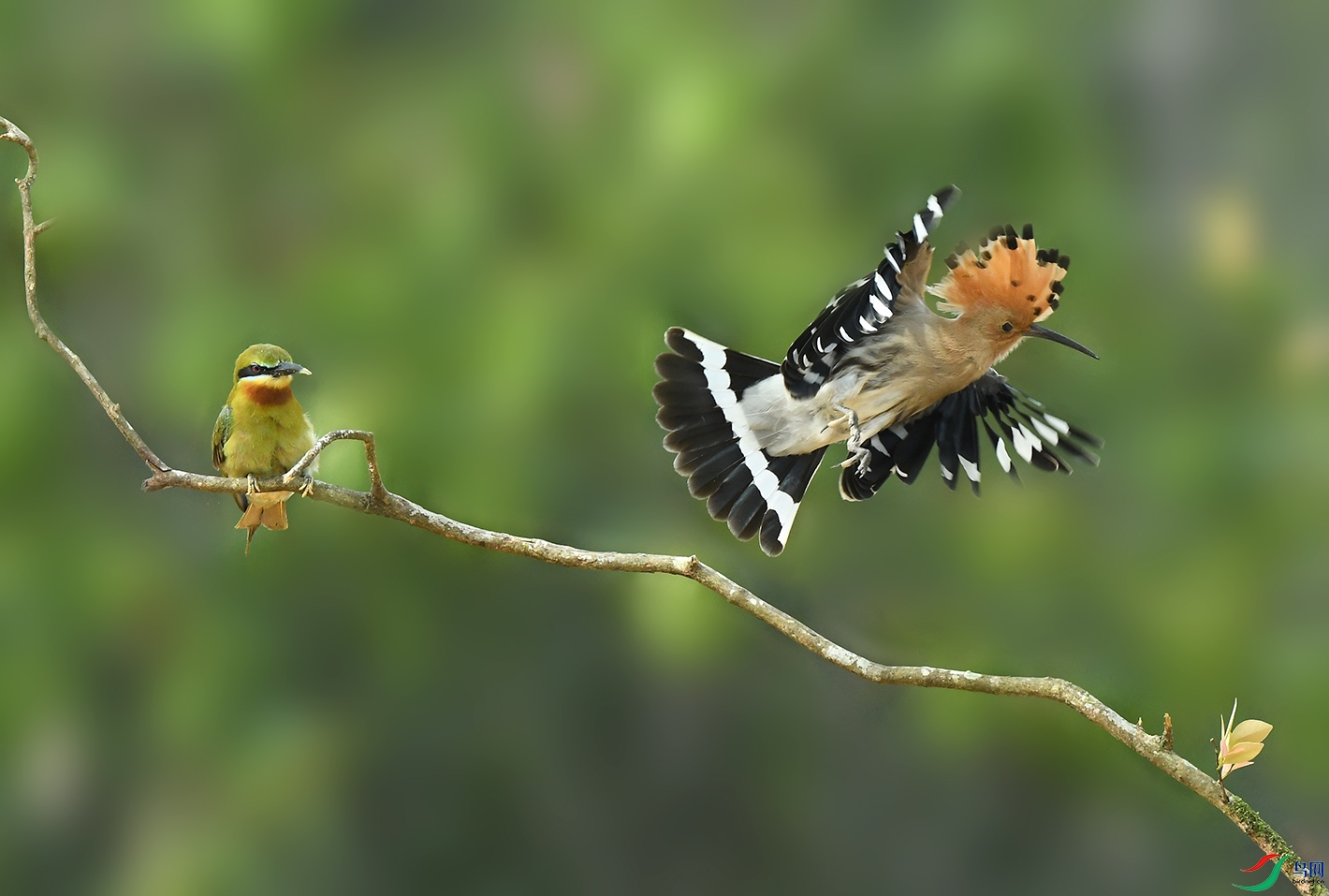 DSC_3382--3����.jpg