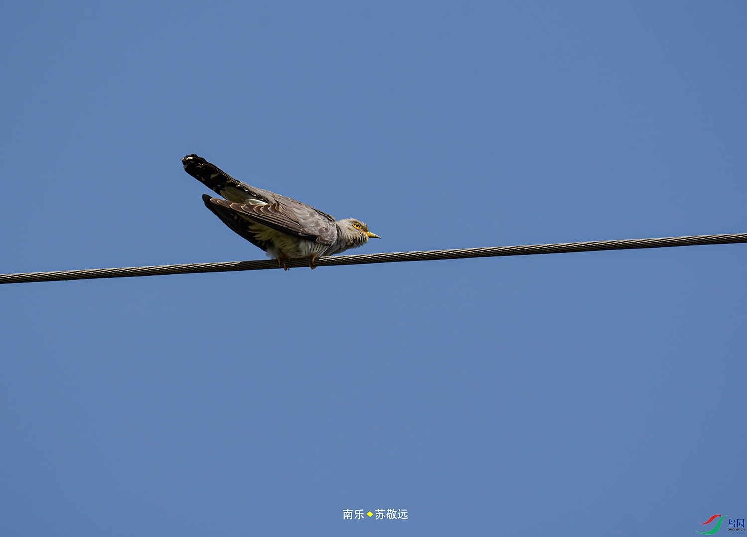 _DSC7768СС.jpg