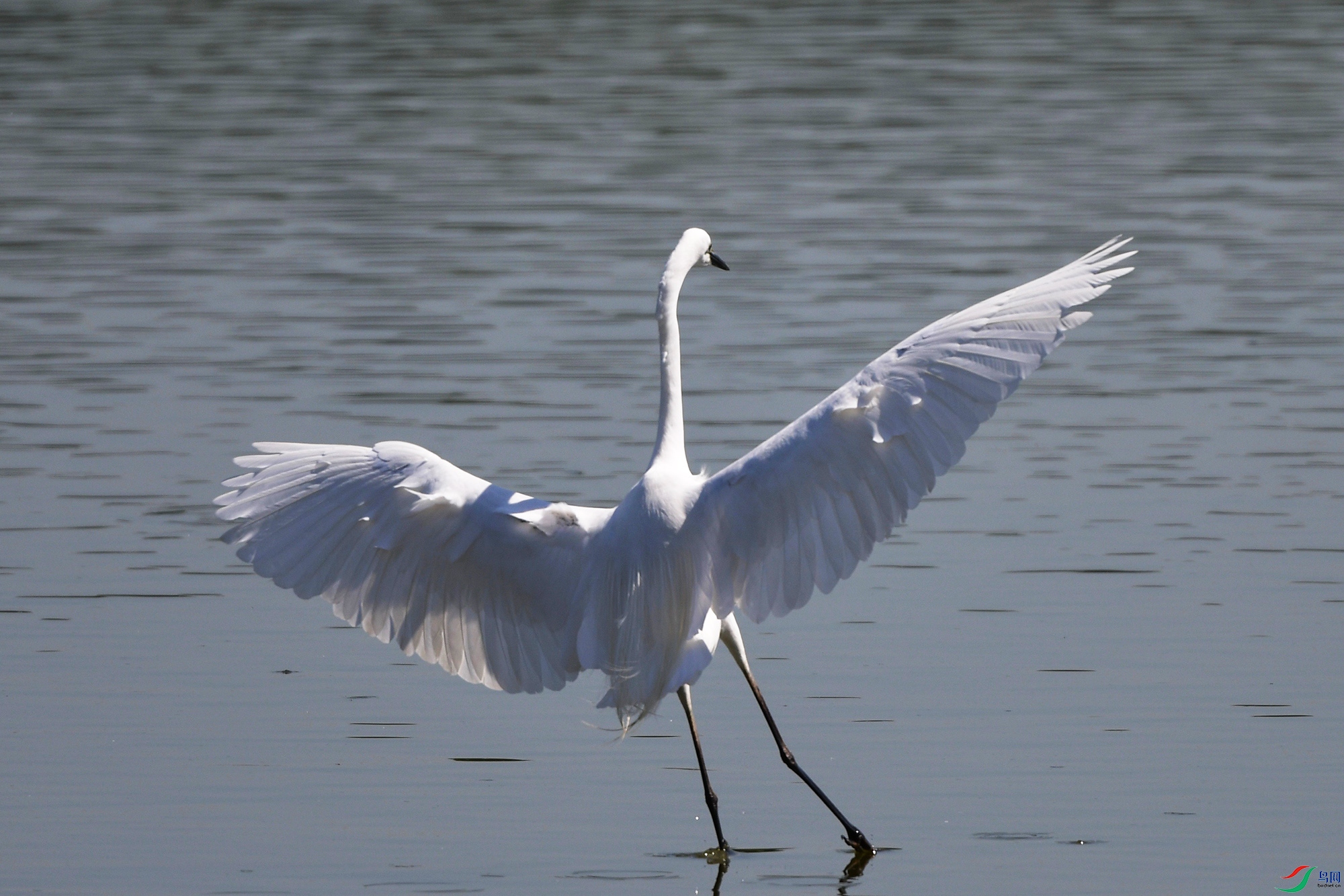 DSC_0587.jpg