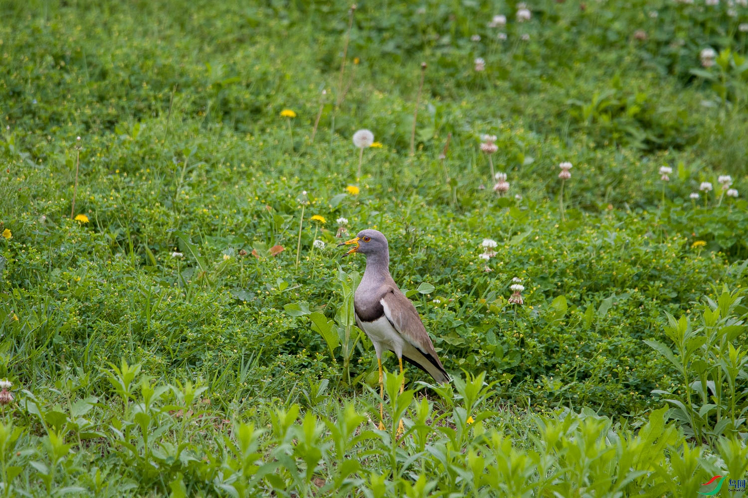 DSC_3617.jpg