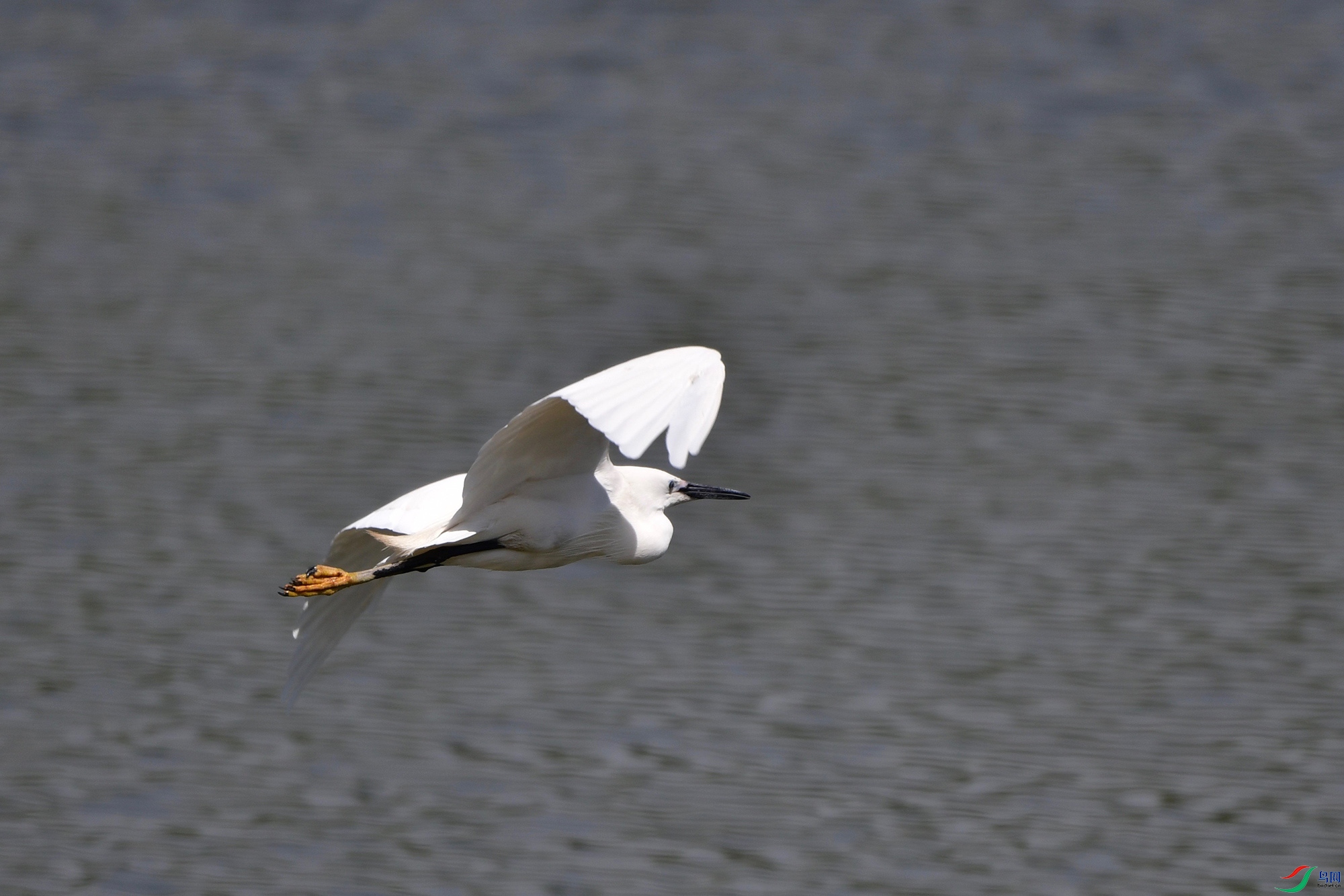 DSC_7020.jpg