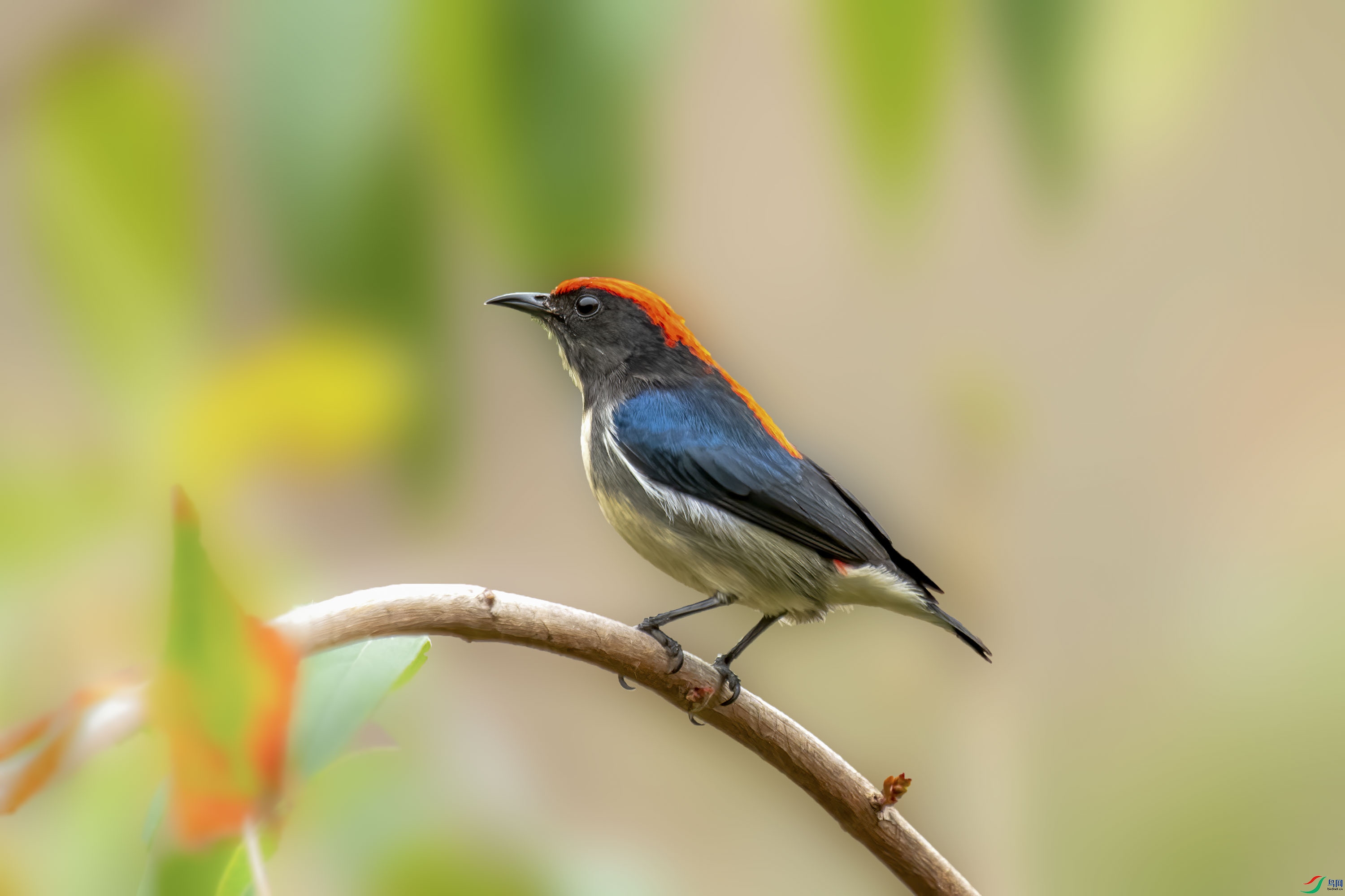 DSC_1168.jpg