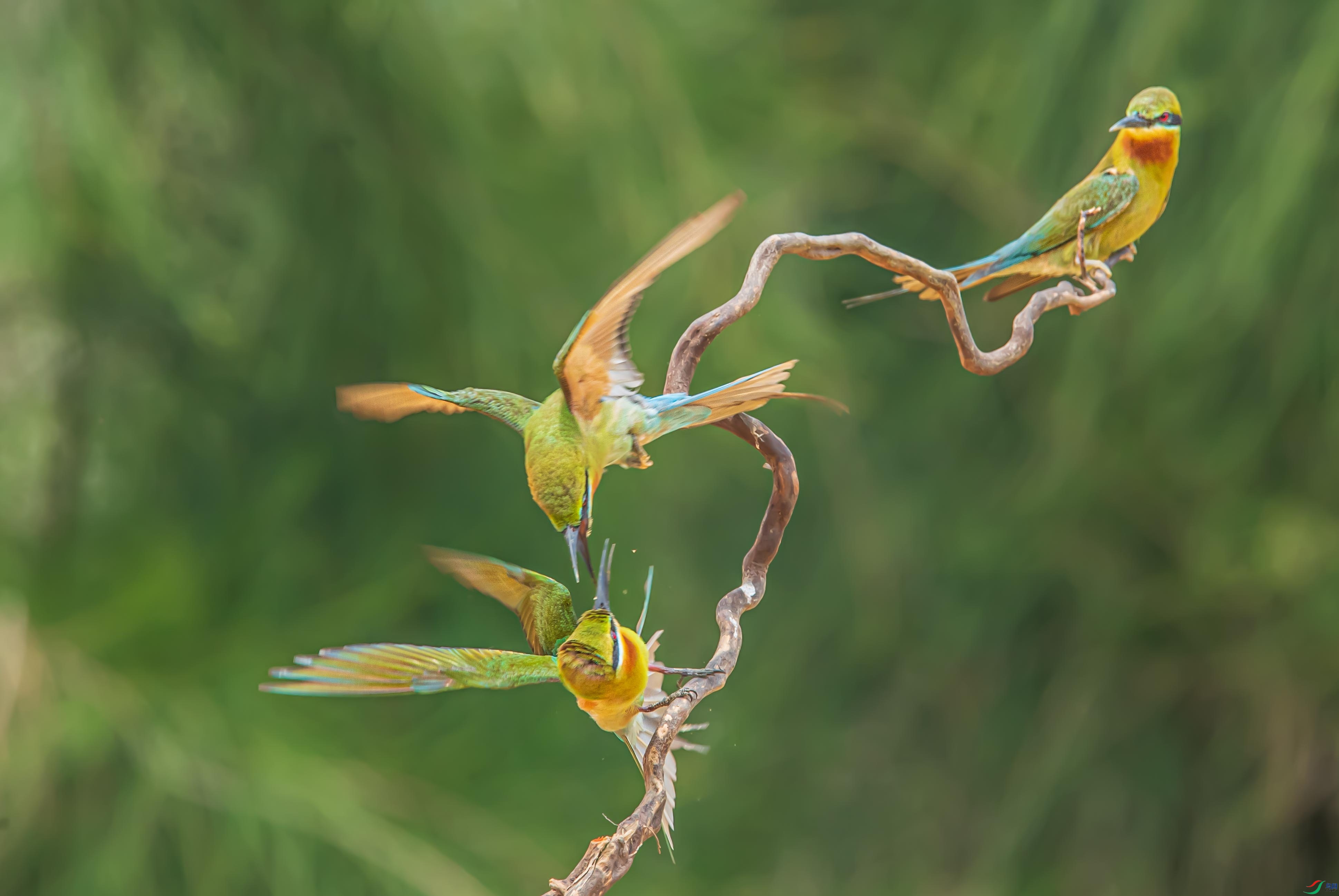 WGB_4796-1.jpg