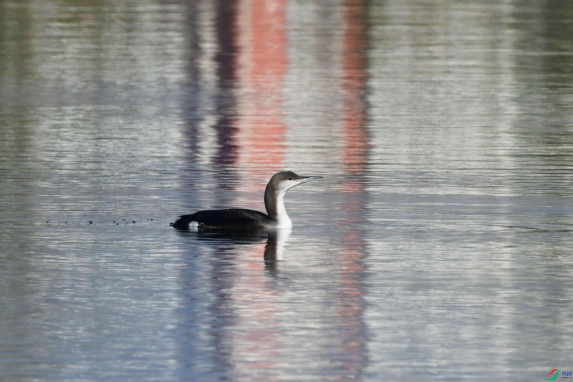 DSC_5534.jpg
