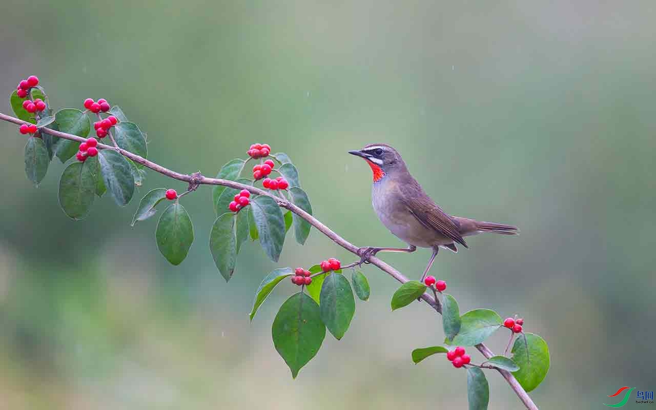 ET2W9576 - ���� (2).jpg