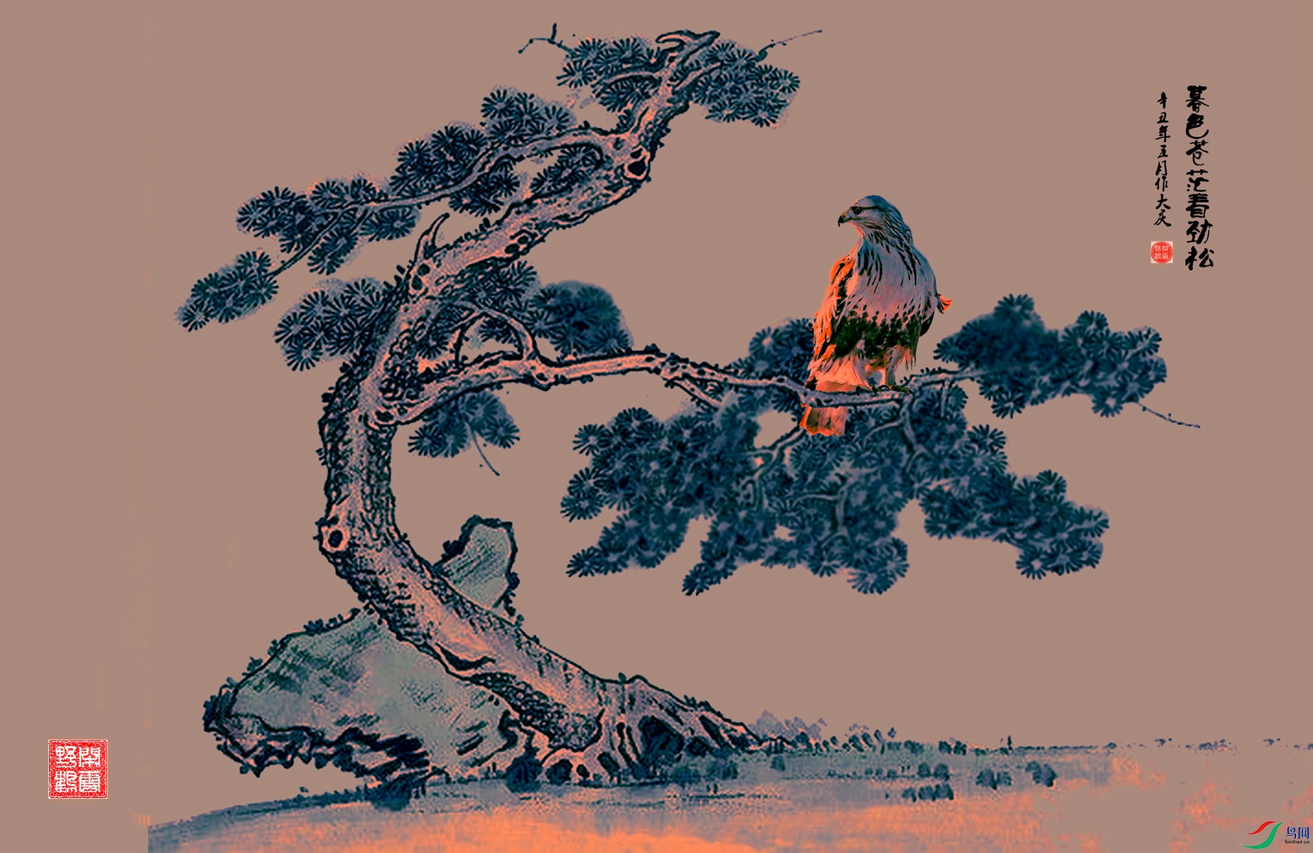 ĺɫ��ã��.jpg