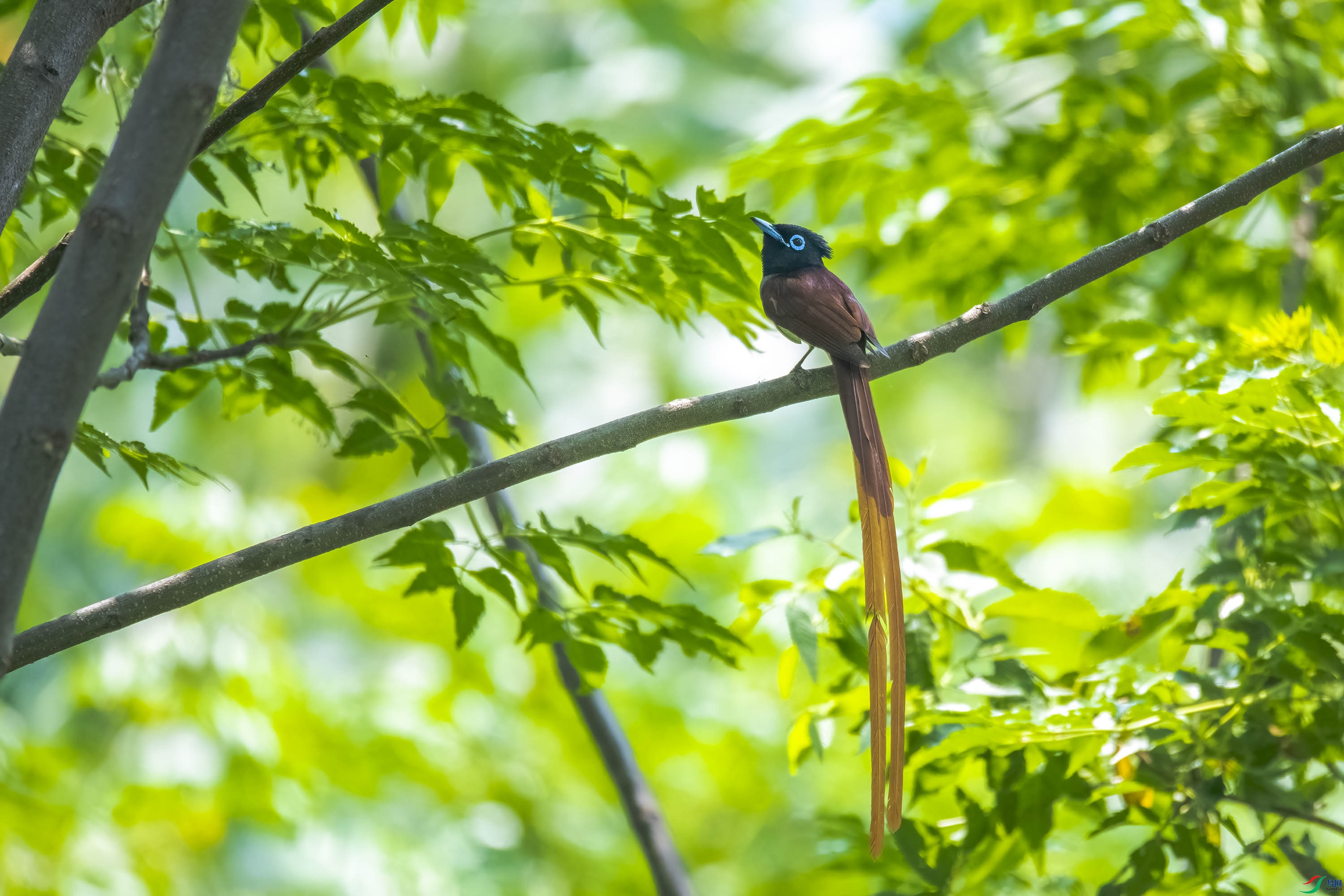 DSC_7022.jpg
