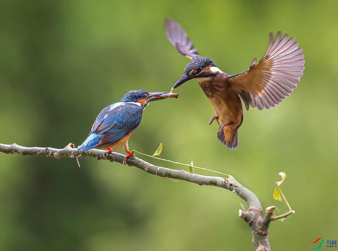 _58I3827 ������ˣ�С���أ�.jpg