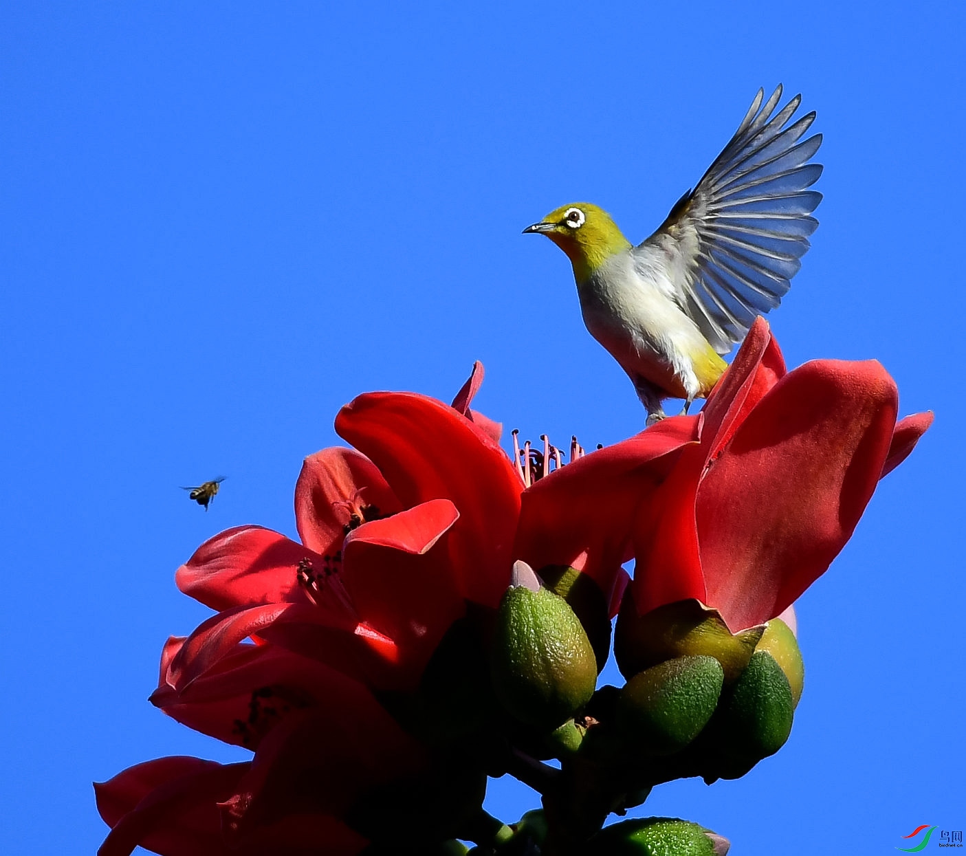 DSC_5560_����3.jpg