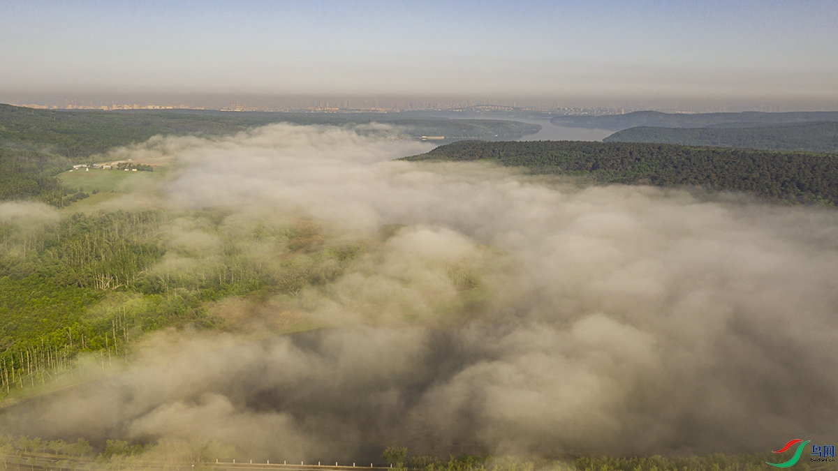 DJI_0152.jpg
