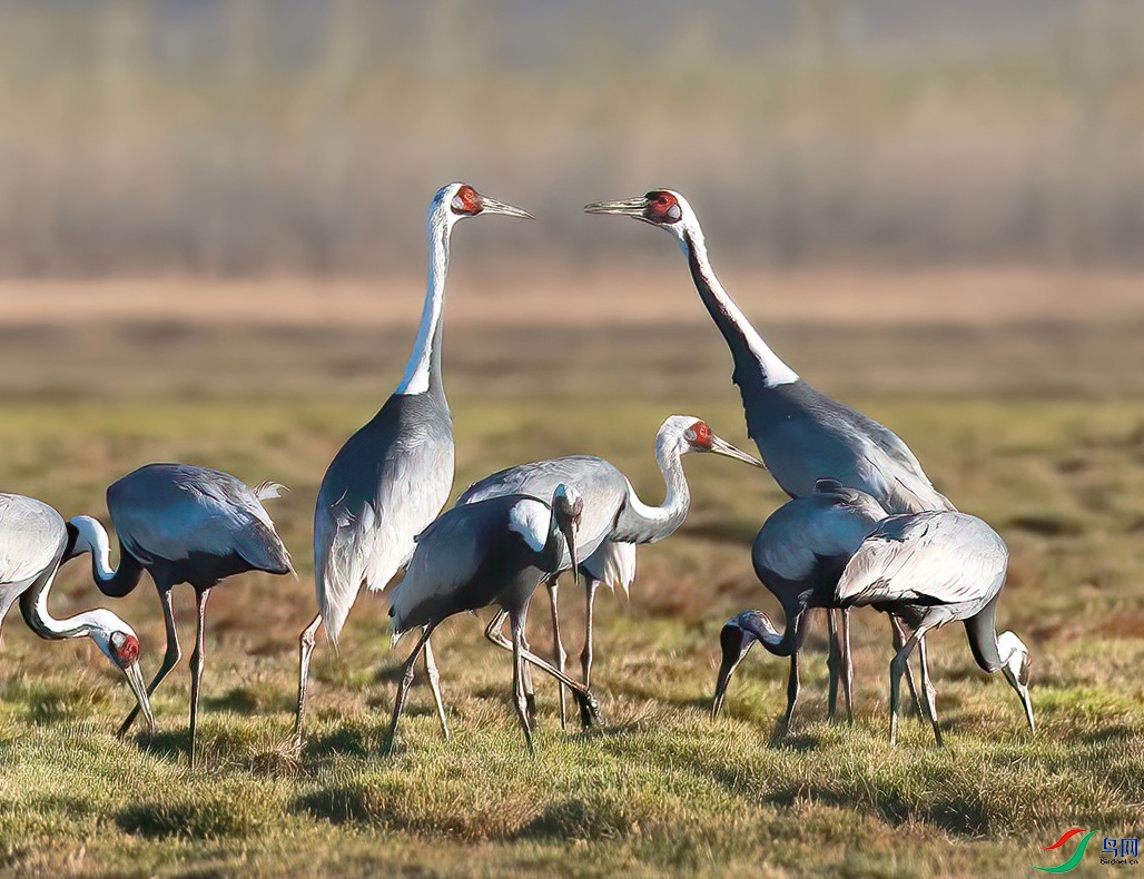 psc (12)������.jpg