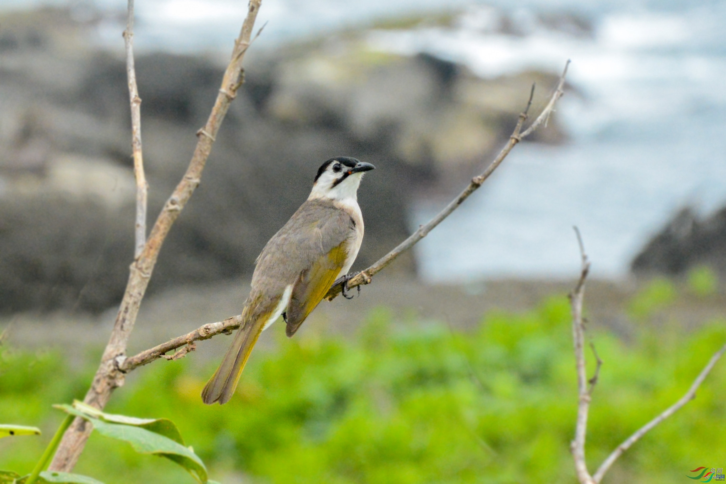 �ﺮ  ��ʦ������̨����.jpg