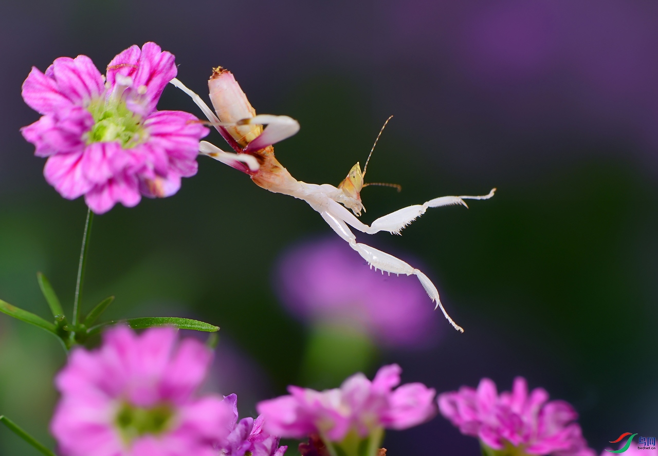 DSC_5851 �������� ����.jpg