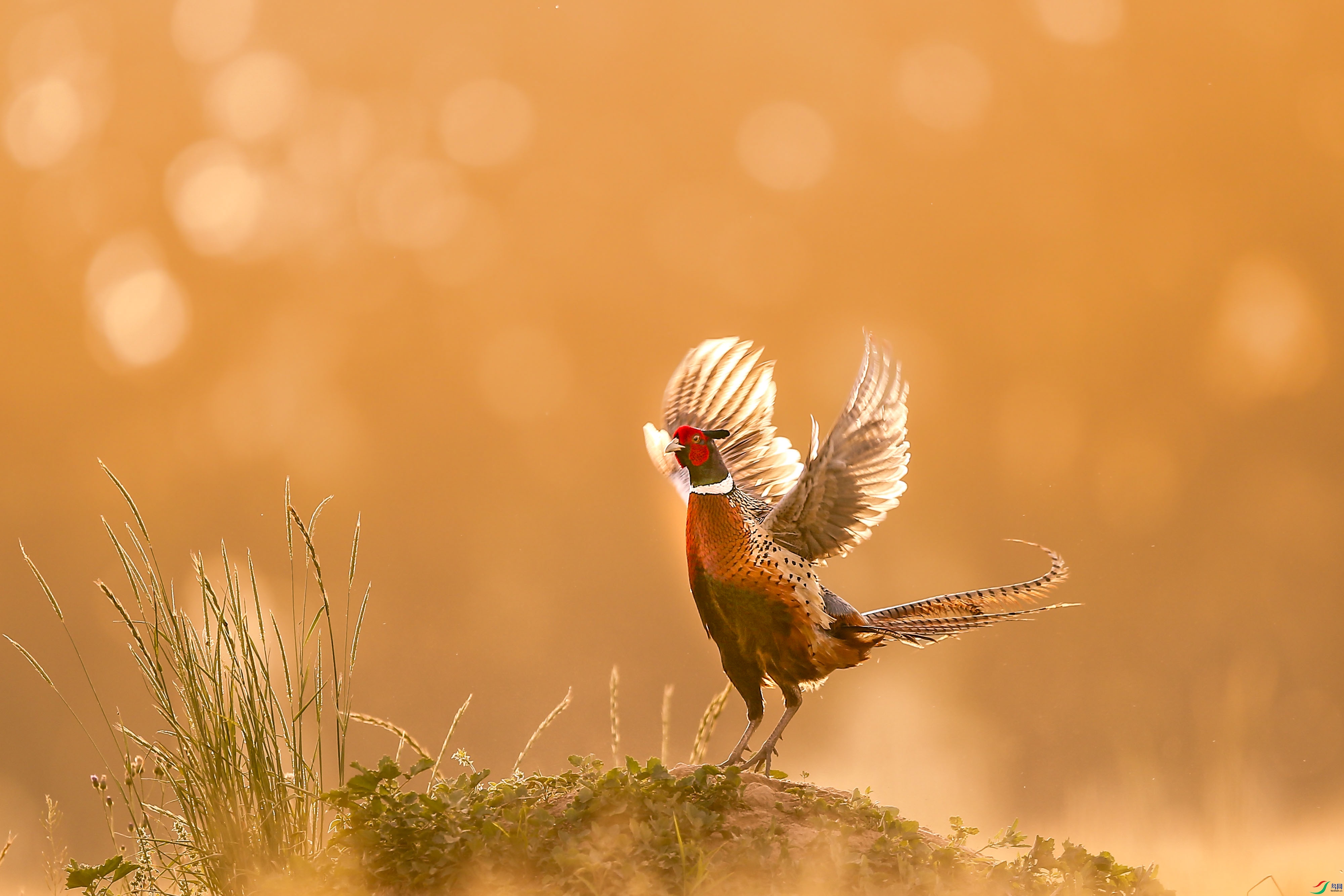 _54I2104_��ͼ��_1_1 - ����.jpg