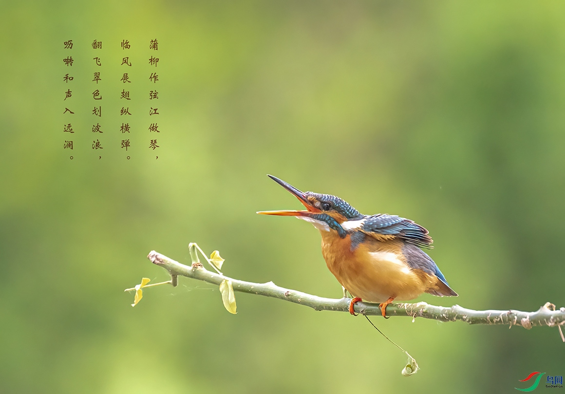 _58I2643 �ź���С���أ�.jpg