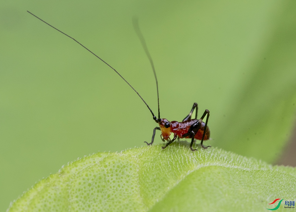 C13A7894a3.jpg