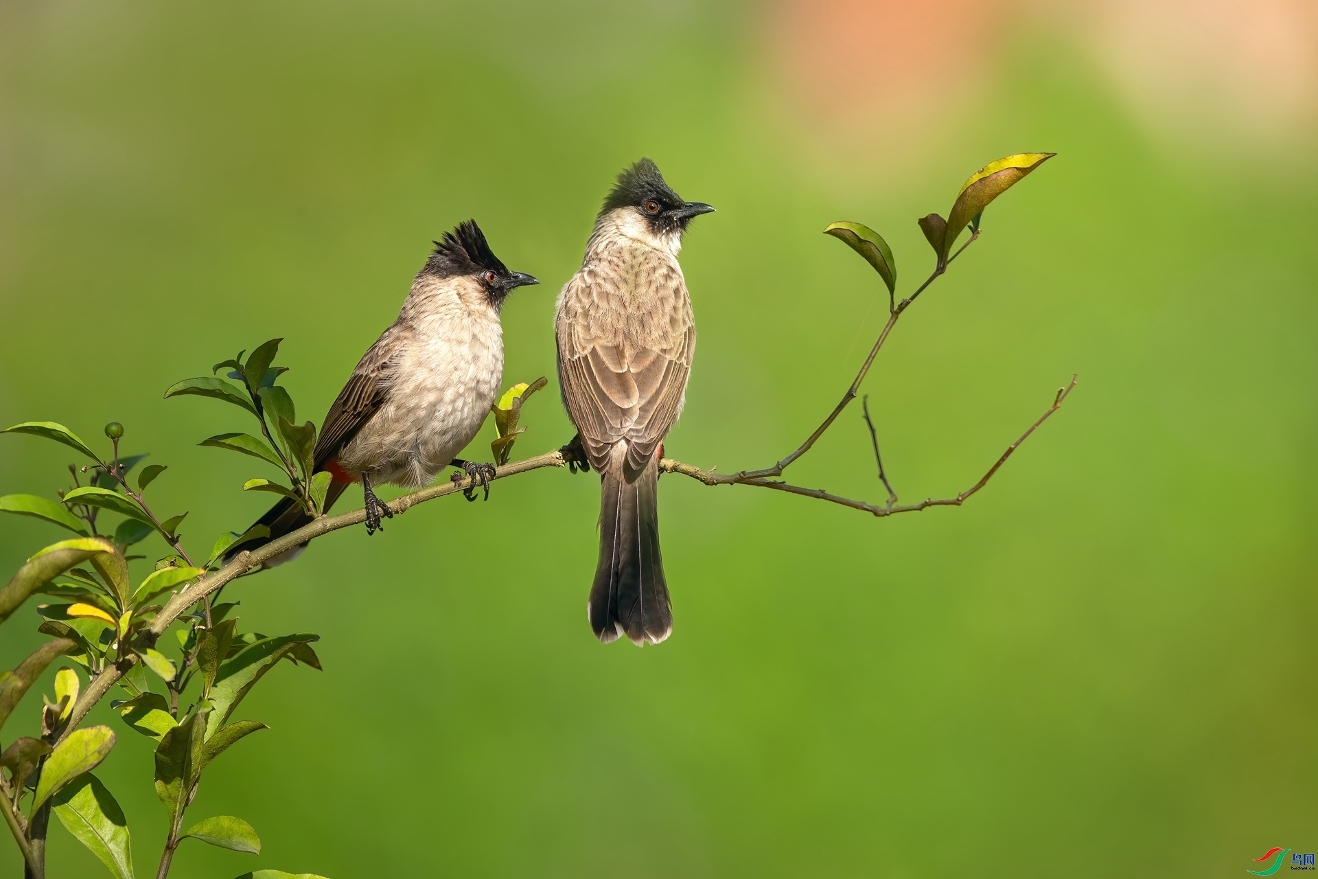 ��ͽ  ��ʦ�����ڹ���׳��������������������.jpg