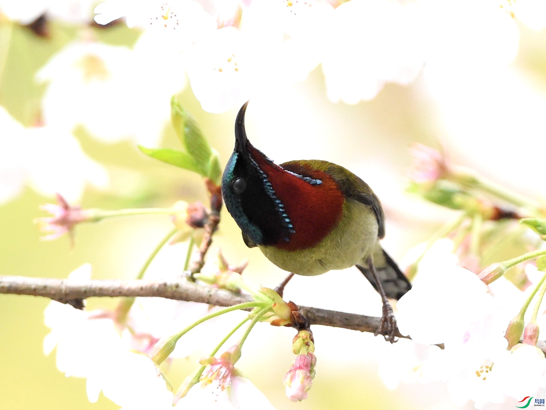 DSC_0237 (2)_����.jpg