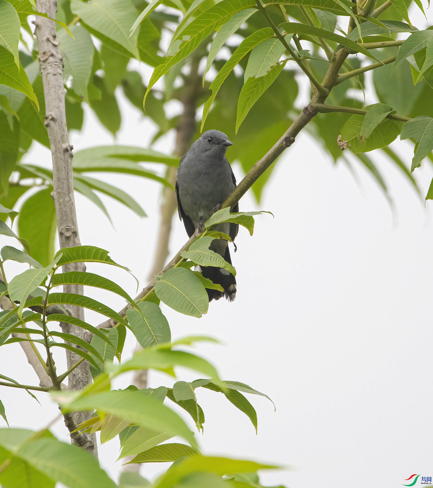 DSC_4715.jpg