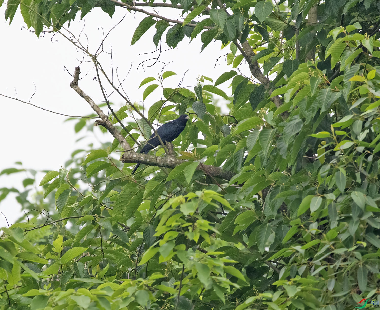 DSC_4750.jpg