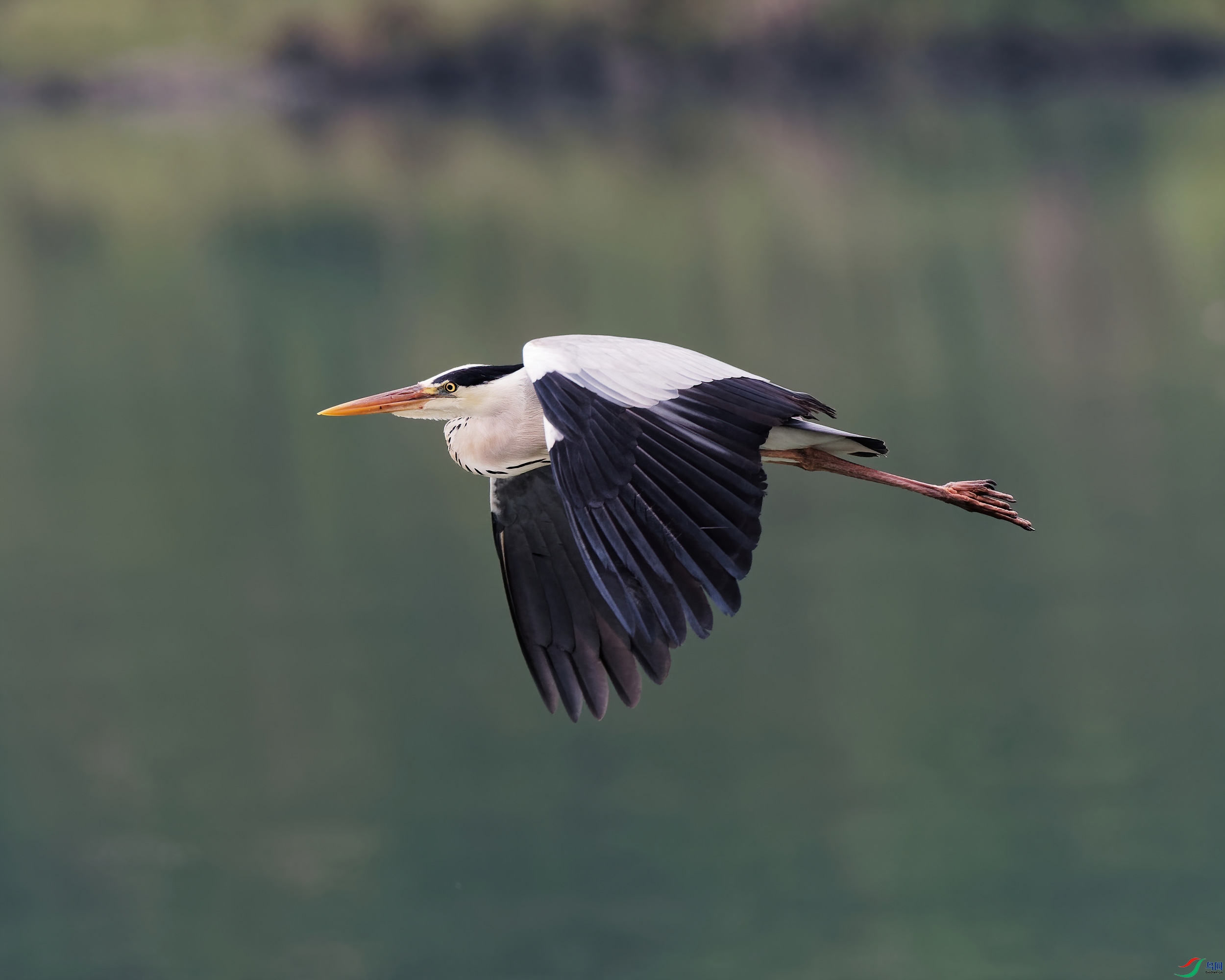 P5130268_DxO-d2.jpg