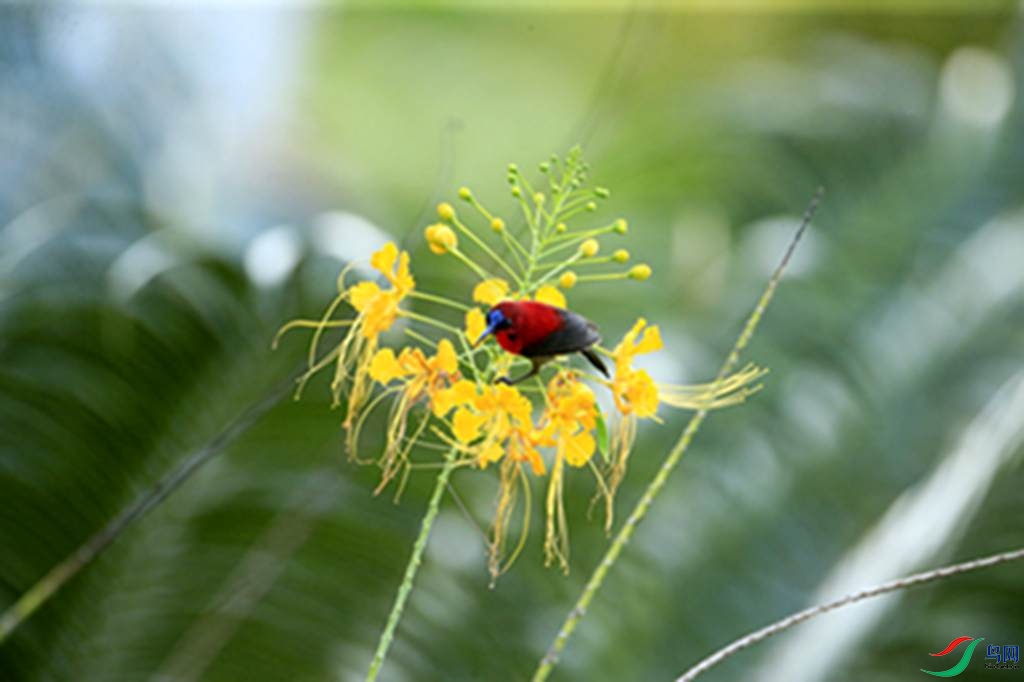125.jpg