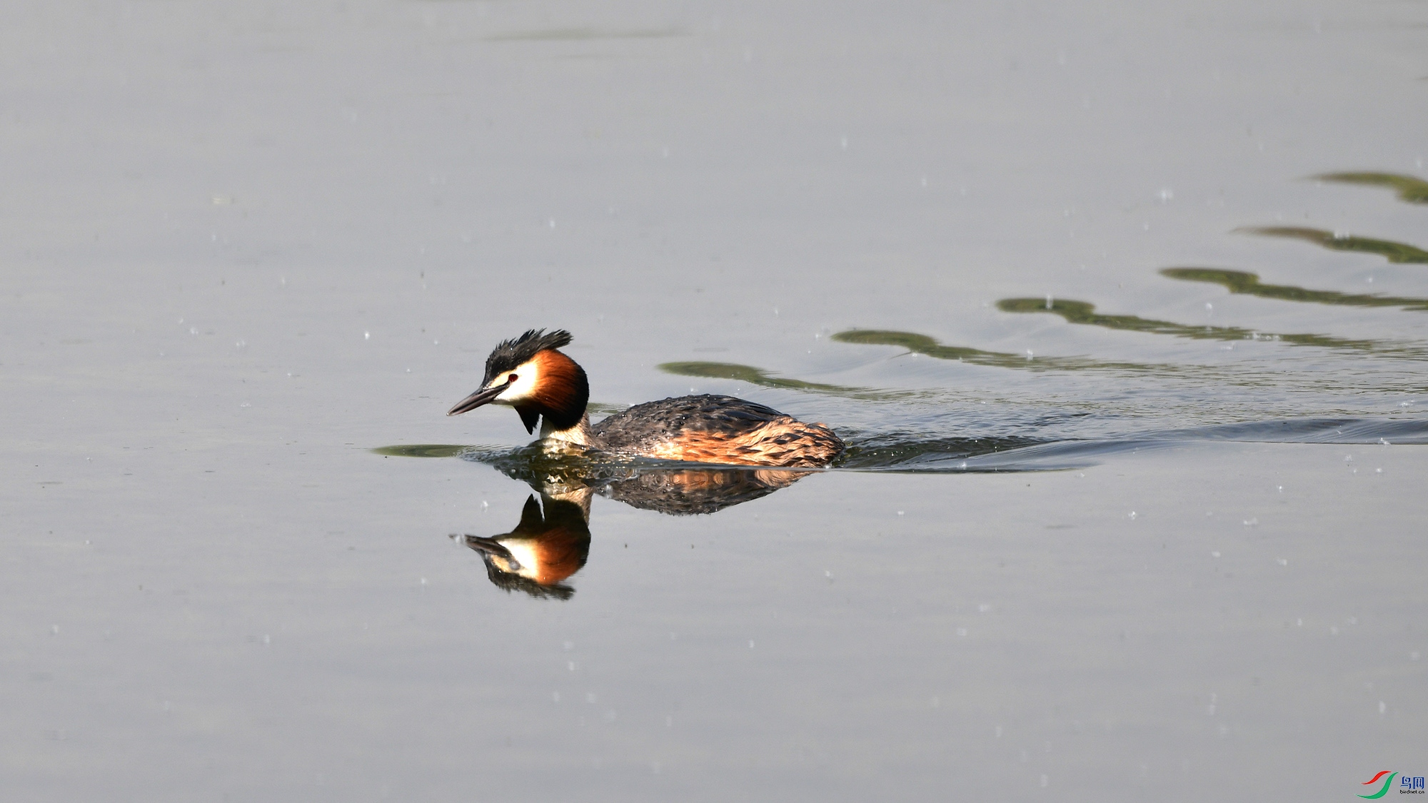 DSC_3561.jpg