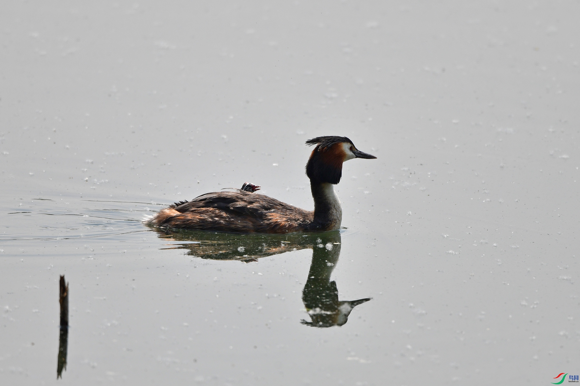 DSC_3822.jpg