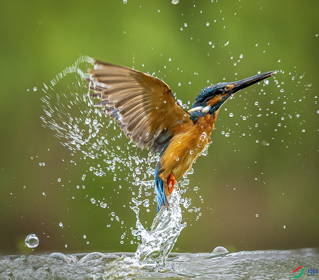 _58I4399 ��ԡ(С����).jpg