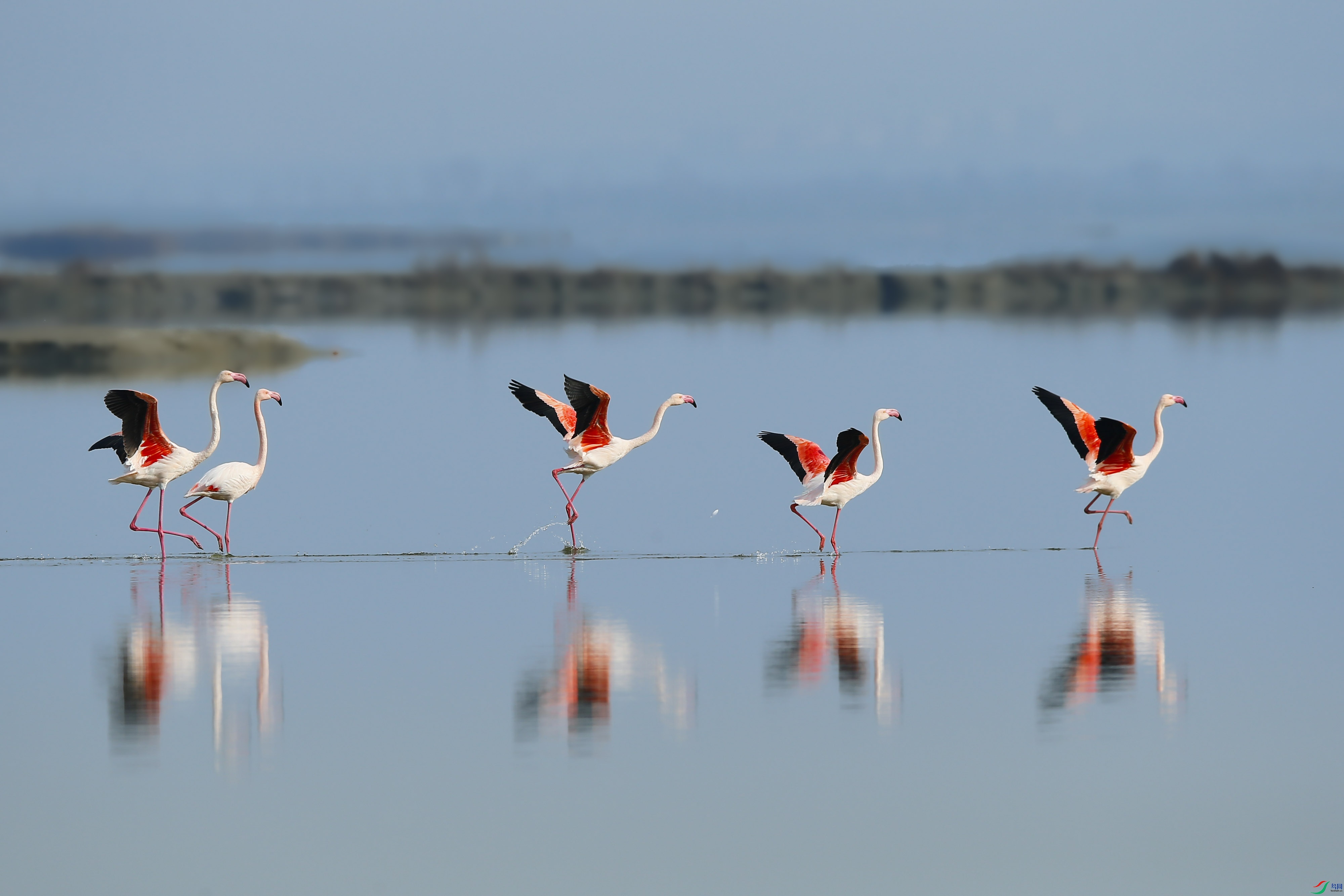 _54I1397_��ͼ��_1 - ����.jpg