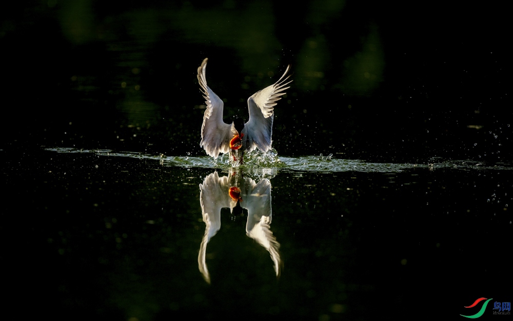 IMG_1034_1 - ����_1.JPG