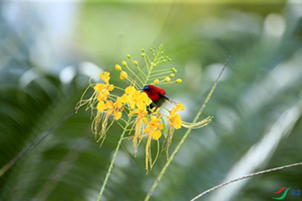 123.jpg
