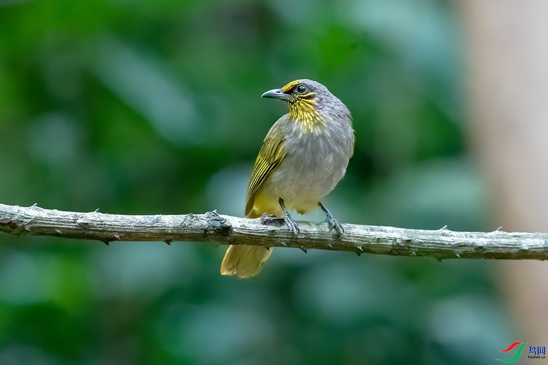 ��������  ��ʦ����������ʡ˼é��.jpg