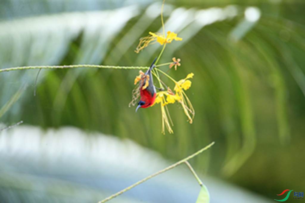 106.jpg
