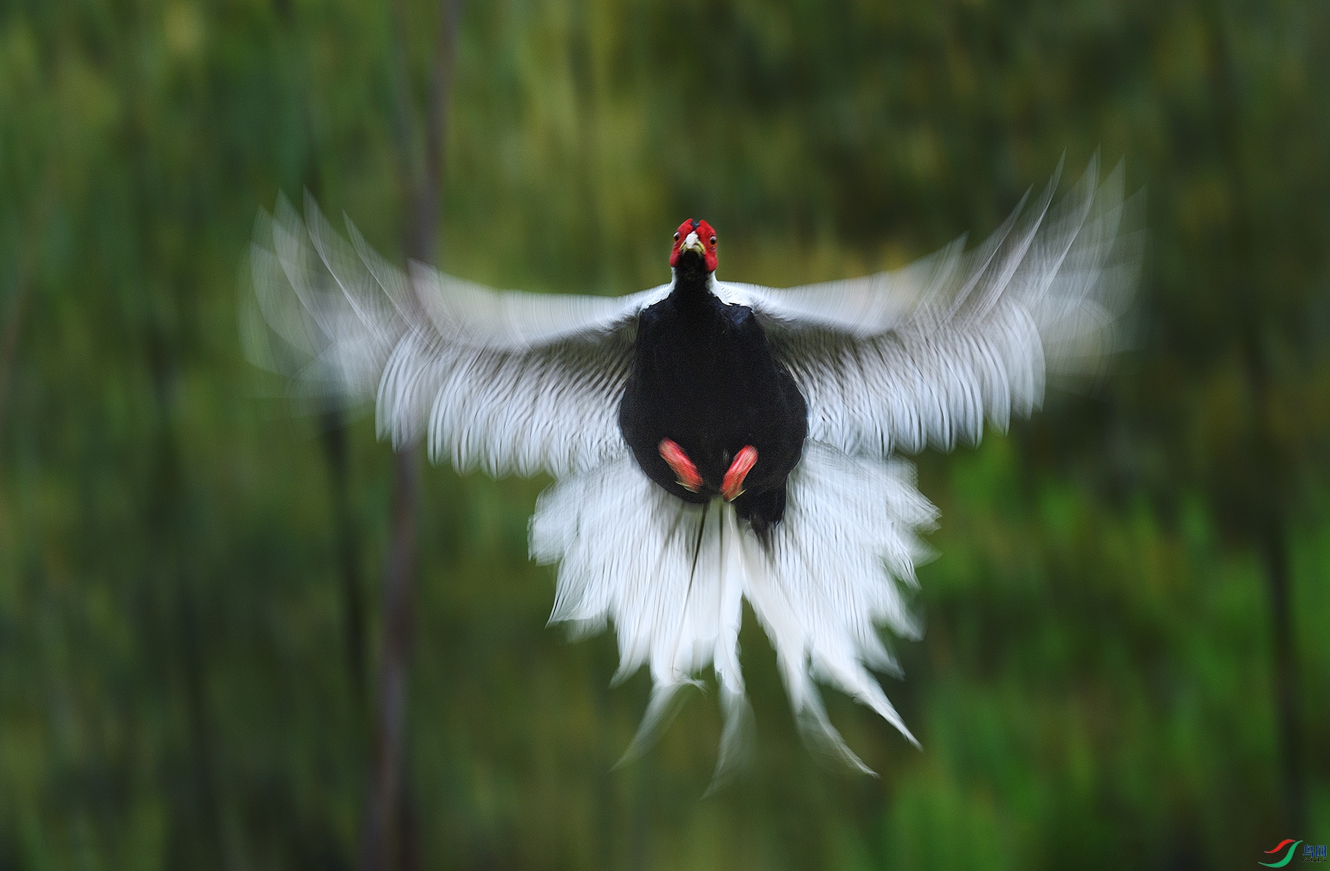 DSC_8666 ����a.jpg