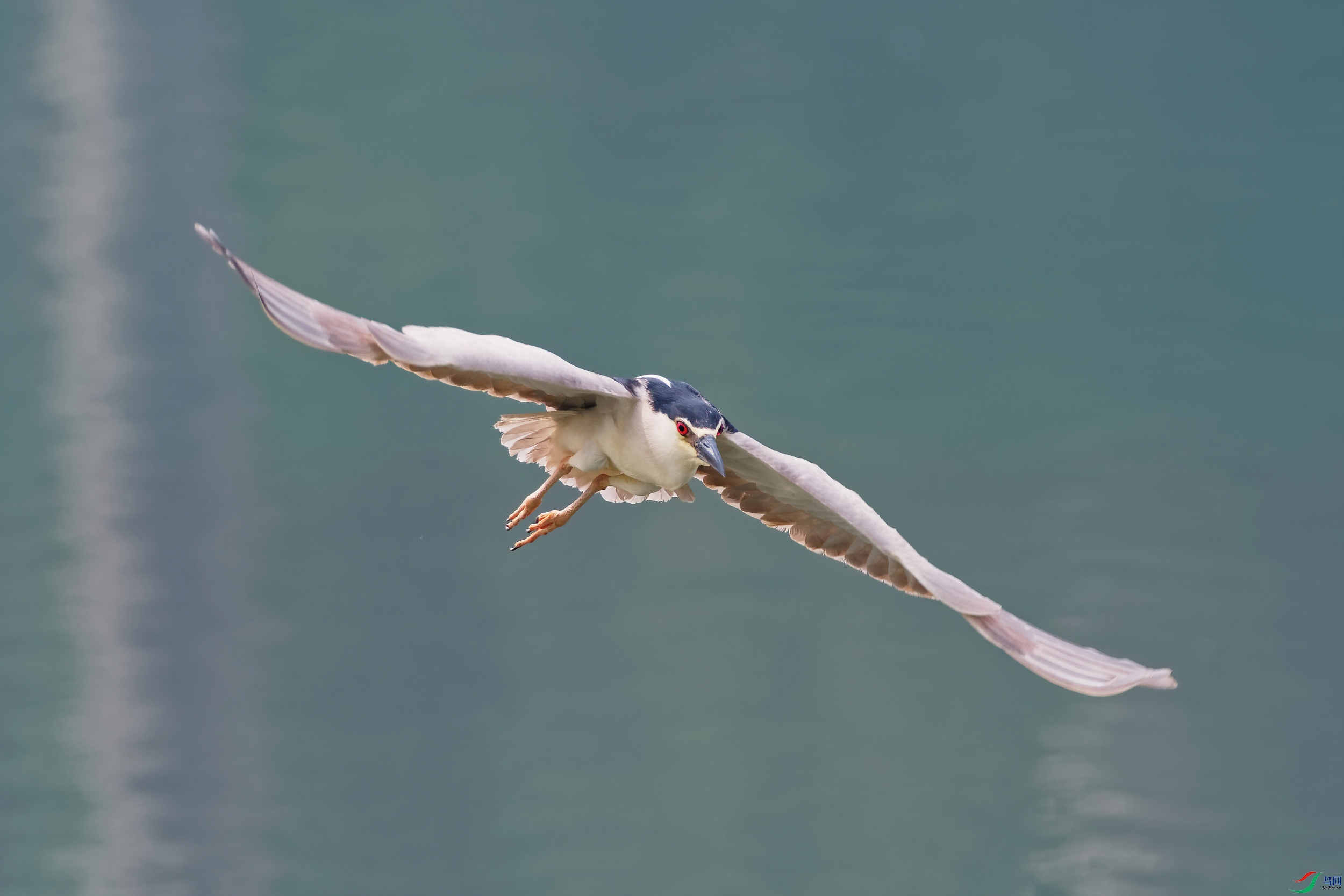 P5310346_DxO-d2.jpg