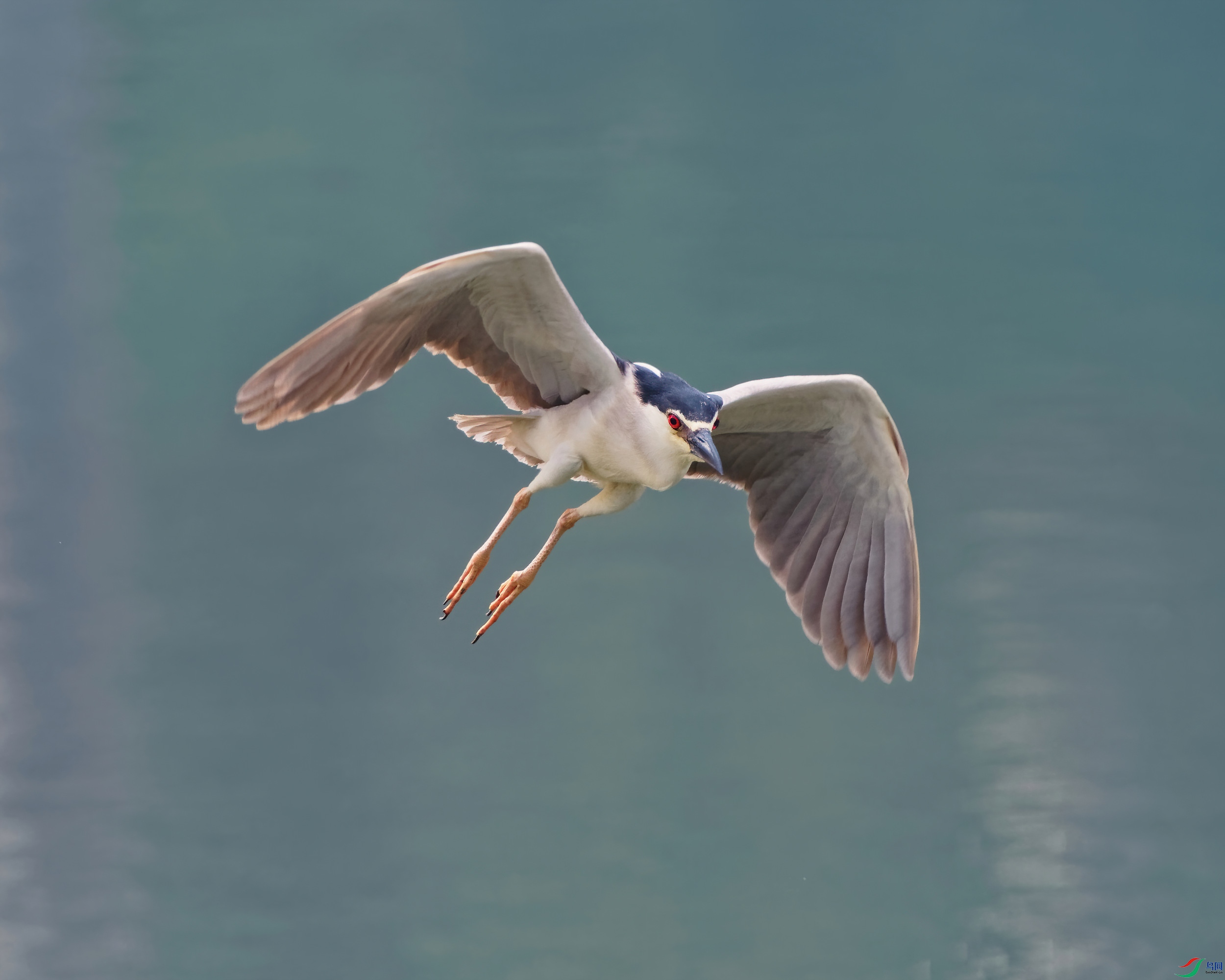 P5310347_DxO-sd2.jpg