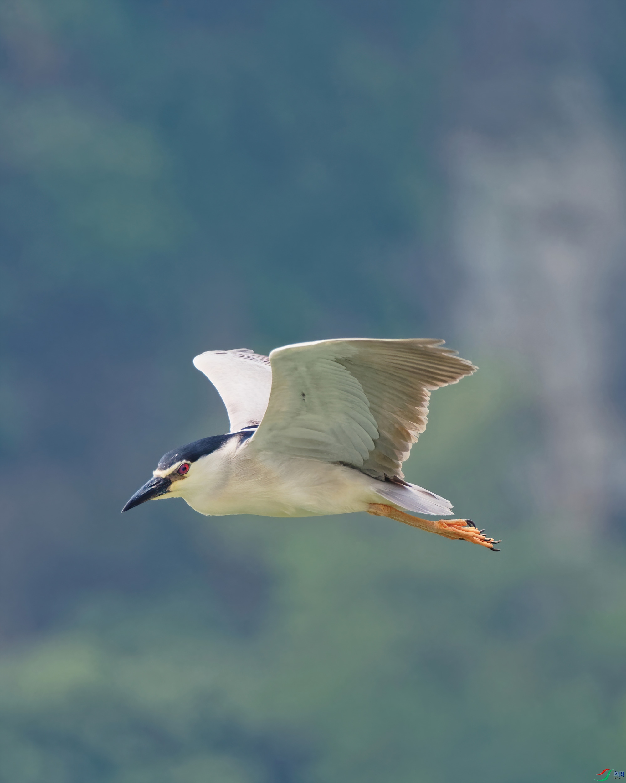 P5310323_DxO-d2.jpg