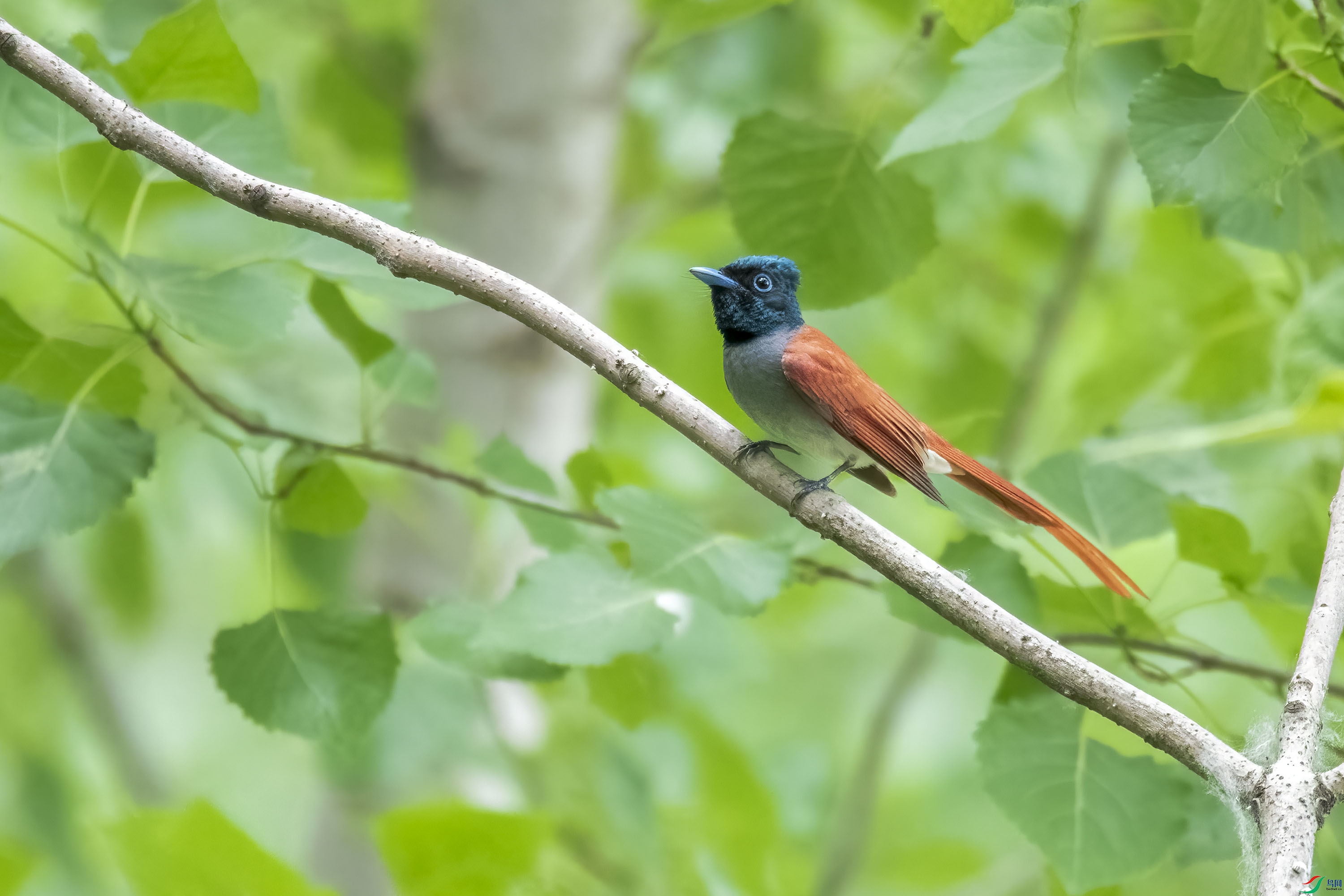 DSC_7502.jpg