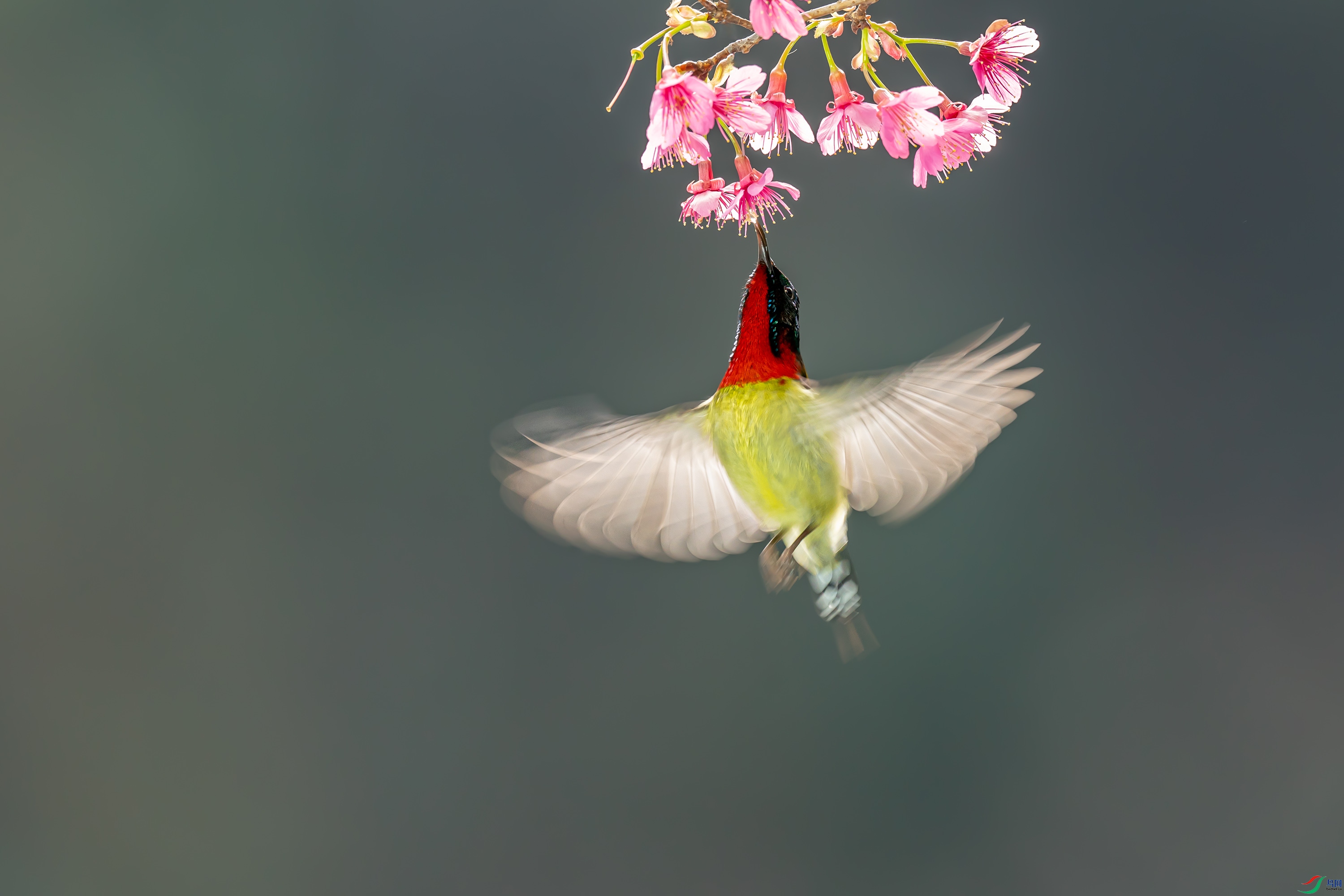 DSC07451-1.jpg