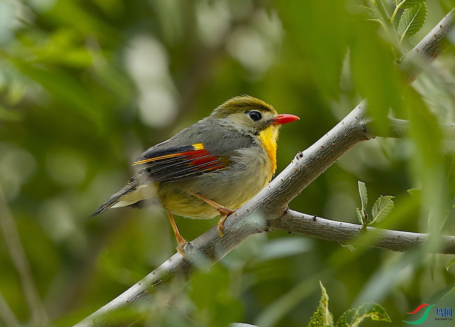 ������˼��