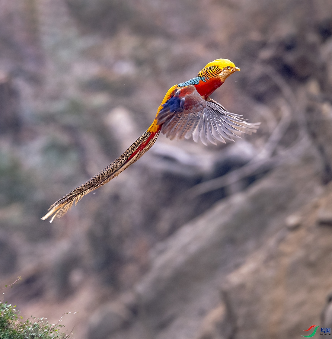 _DSC4047�츹����05-15a.jpg