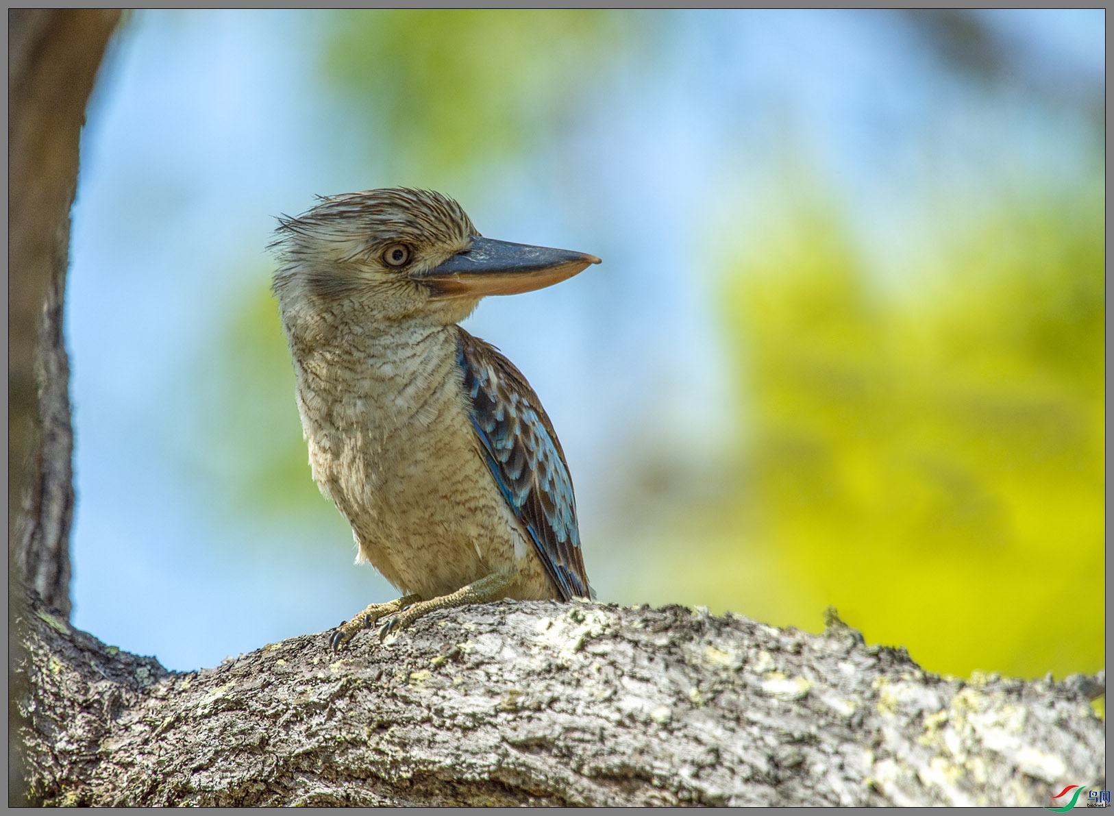 ��DSC_4634.jpg
