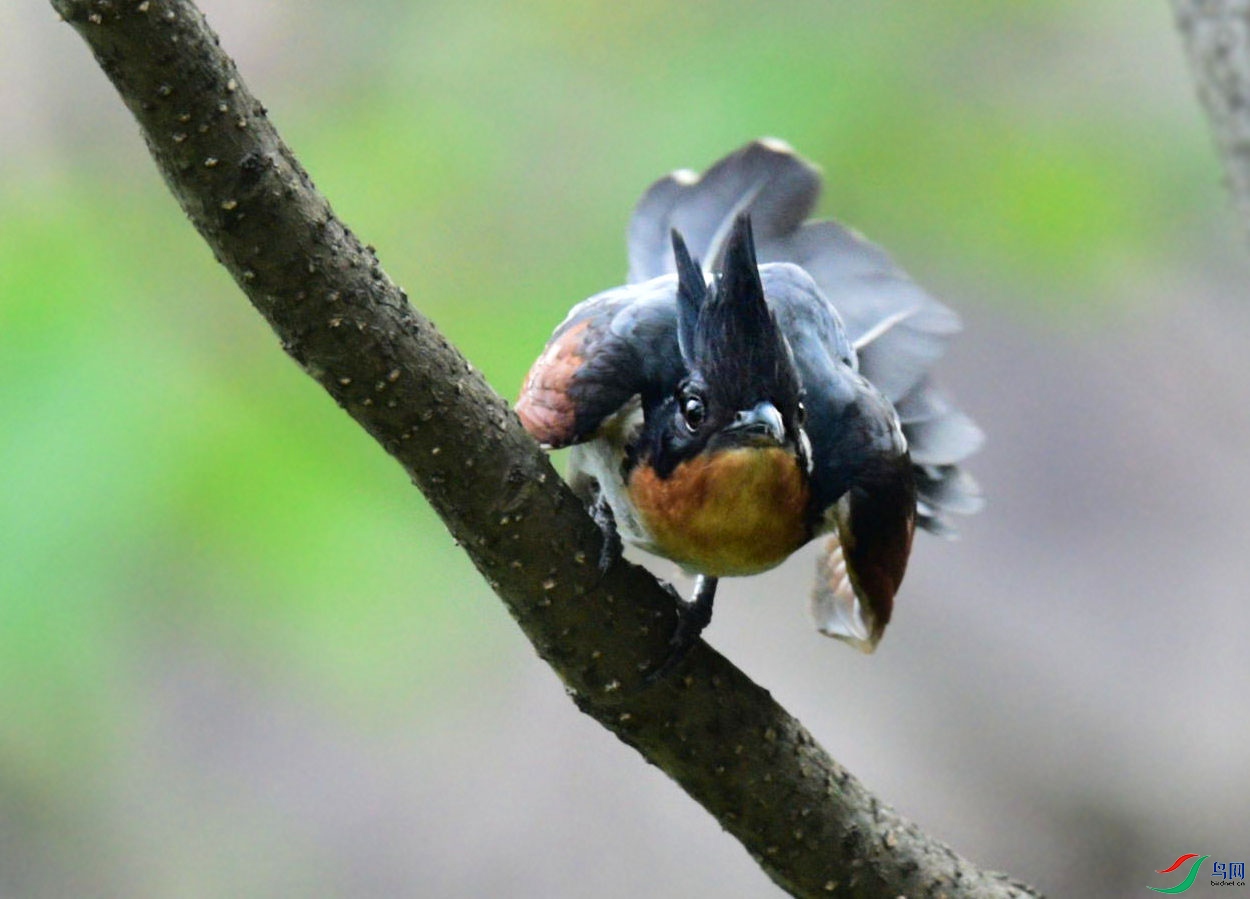DSC_5797_����.jpg