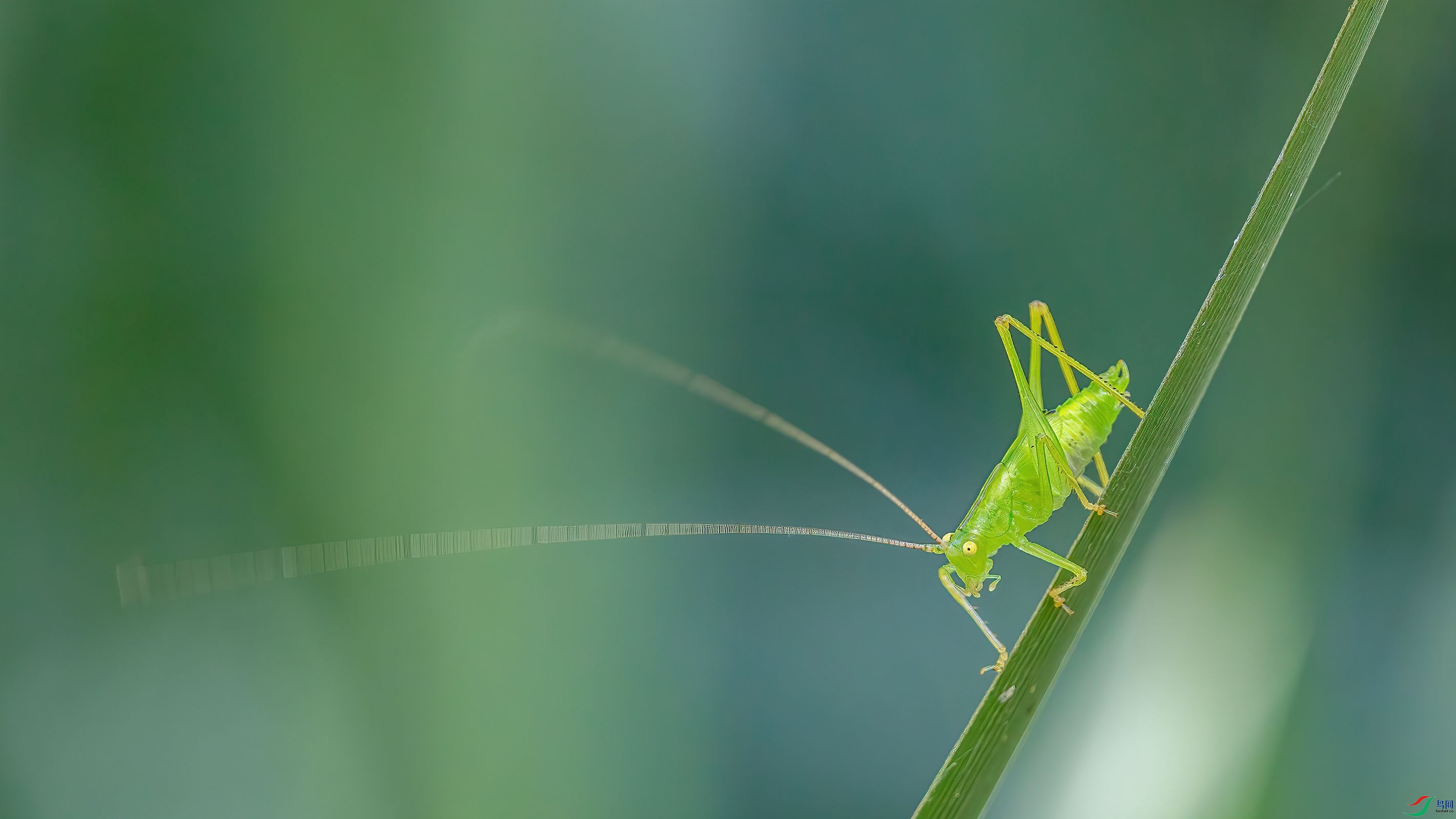 7G9A0795-1_����.jpg