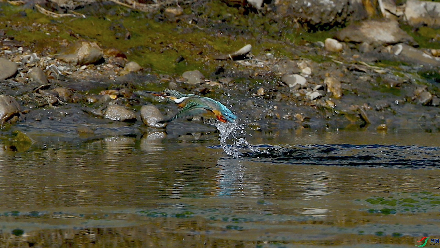 ��ͨ����